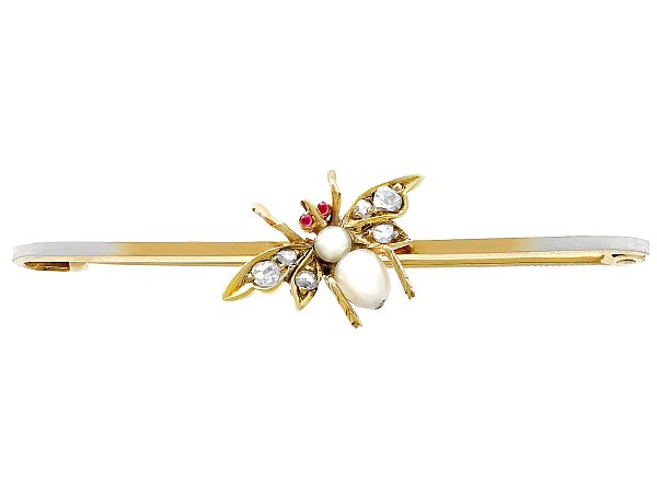 Antique Insect Brooch for Sale