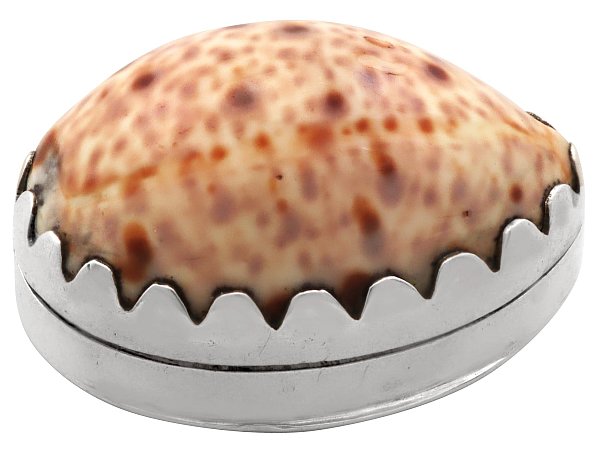 Antique Cowrie Shell Vinaigrette with Silver