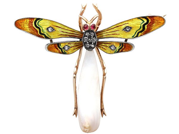 Pearl and Enamel Dragonfly Brooch in Gold