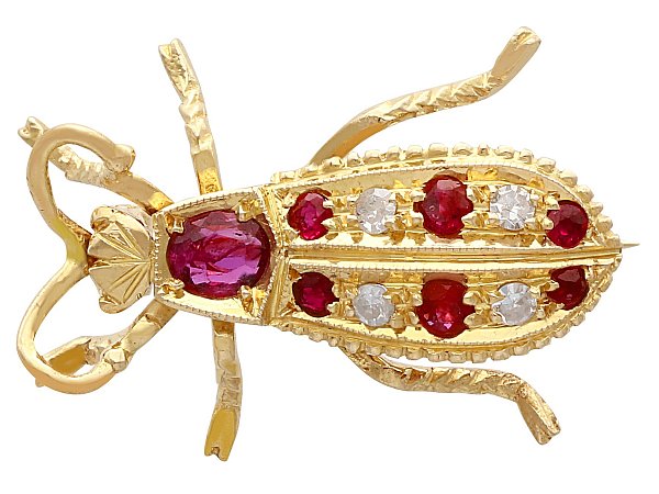the history of insect brooches