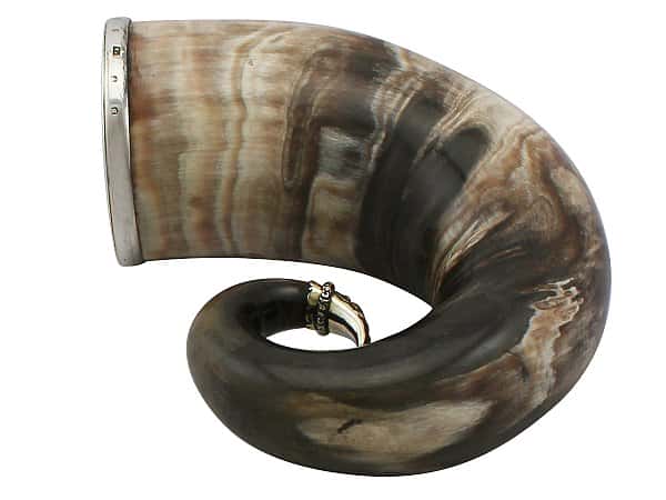 horn and scottish silver beaker