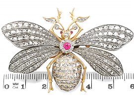 Antique Insect Brooch