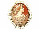 Carved Shell and 15 ct Yellow Gold Cameo Brooch - Antique Circa 1880