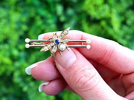 Insect Brooch Outside