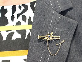 Insect Brooch Wearing