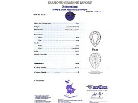 Victorian Snake Brooch Certificate 