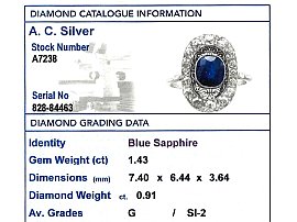 Sapphire Dress Ring in Platinum