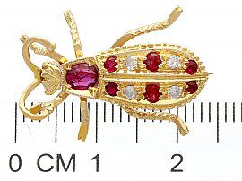 Insect Brooch Measurement