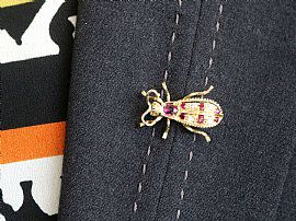 Vintage Insect Brooch wearing image