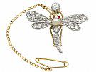1.30 ct Diamond and Pearl, Ruby and 9 ct Yellow Gold 'Dragonfly' Brooch - Antique Victorian
