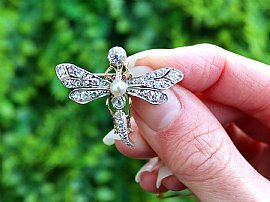 Antique Dragonfly Brooch Outside