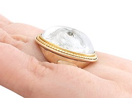 Essex Crystal Ring Wearing 