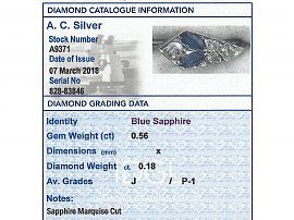 0.56 ct Sapphire and 0.18 ct Diamond, 15 ct White Gold Pin Brooch - Antique Circa 1930