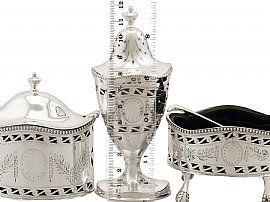 Silver Condiment Set with Blue Liners