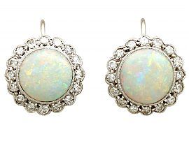 Antique Opal Earrings front on view