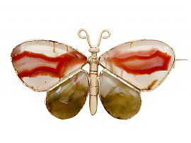 Agate and 9ct Yellow Gold 'Butterfly' Brooch - Antique Circa 1850