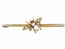 0.15ct Diamond and Ruby, Pearl and 12ct Yellow Gold 'Insect' Bar Brooch - Antique Circa 1890