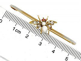 Antique Insect Brooch size