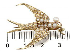 Antique Seed Pearl Bird Brooch Ruler