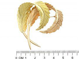 Gold Leaf Brooch Ruler