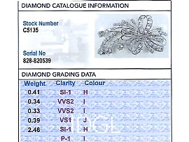 Diamond Floral Spray Brooch in Platinum Grading