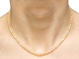 19th Century Pearl Necklace