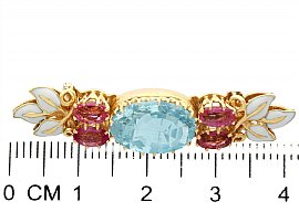 Victorian Gemstone Brooch with Enamel with measurements