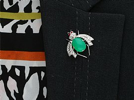 Insect Brooch Wearing Image