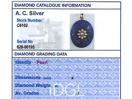 Antique Enamel and Pearl Pendant Grading Data
