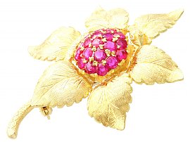 Ruby and Gold Brooch