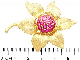 Burmese Ruby and Gold Brooch Measurements