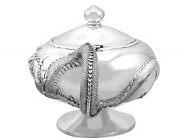 Chinese Silver Tea Pot