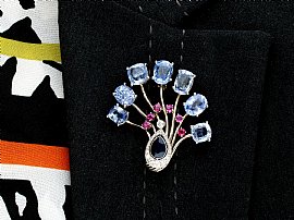 Sapphire Ruby and Diamond Brooch Wearing 