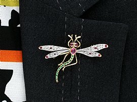 Wearing Image for Antique Dragonfly Brooch