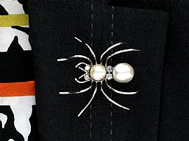 Wearing  Antique Spider Brooch