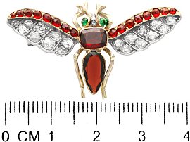 Antique Garnet Insect Brooch Size
