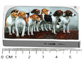 Dog Vesta Case Size