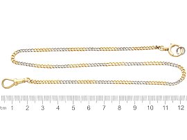 Ladies Fob Watch Chain for Sale size