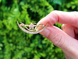 Crescent Floral Brooch with Diamonds for Sale